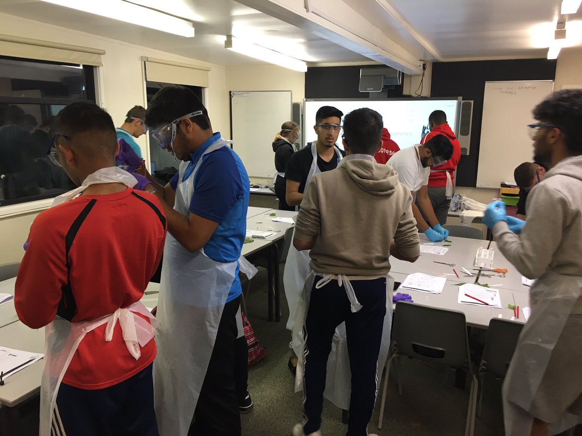 GAA_science's tweet photo. Chromatography practicals #ecologists #workinghard #corepracticals @PrestonMontford https://t.co/onHEhKtQdy