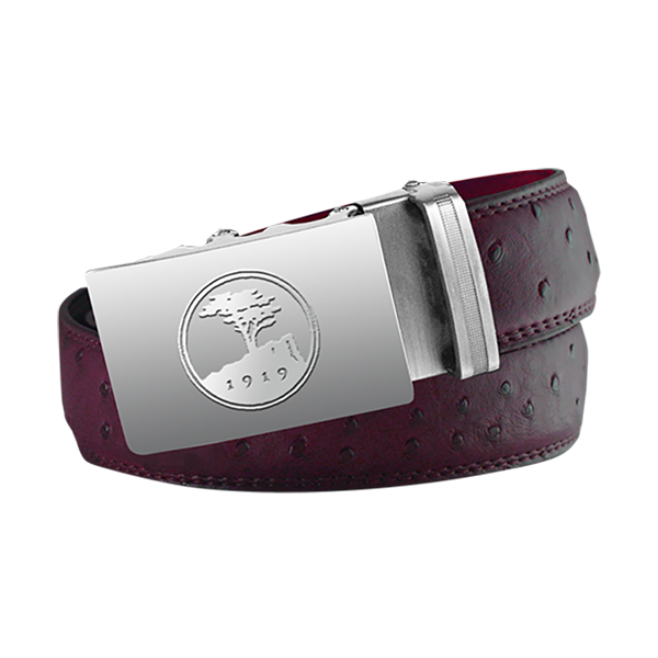 pabelts's tweet photo. @BelvedereGCC Thanks for the follow! Love the logo, it would look great on one of custom belts. Let us know if we can help! #golf https://t.co/yQnCslqkeW
