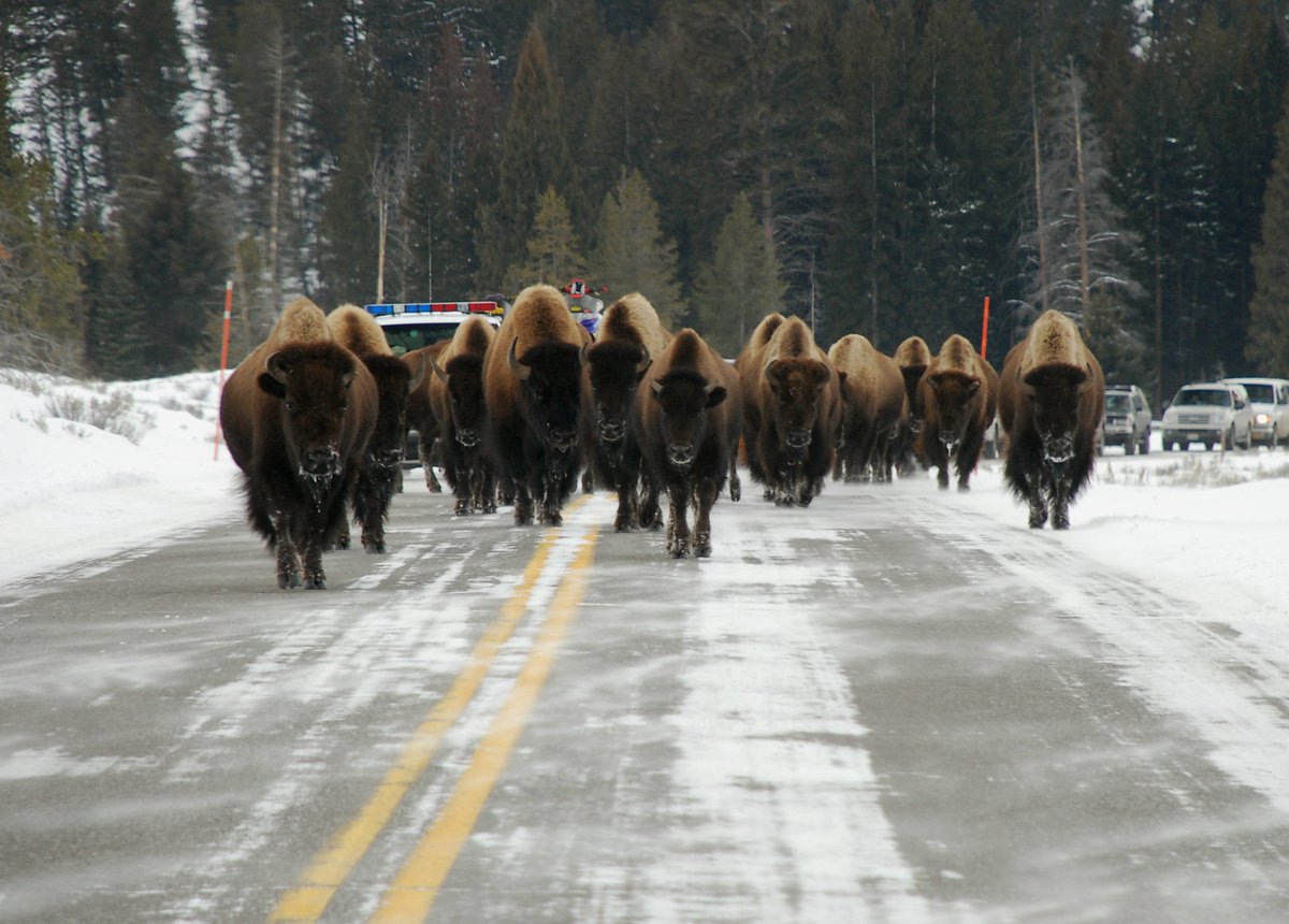 You’re going to love this <a href="/USAToday/">USA TODAY</a> gallery of cute wildlife pics - on.doi.gov/2cDuGlQ