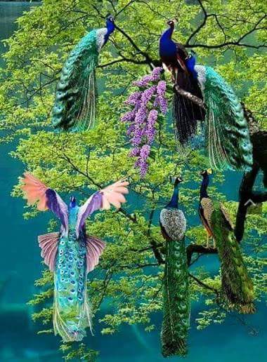 SDarmanta's tweet photo. @PatrickDNair @nikoorokh @LauraAn95487384 @syedbju @choco_haggen @tanais34 @Gabbar_of_God @xmsangelicax . https://t.co/9g5saAbwY9