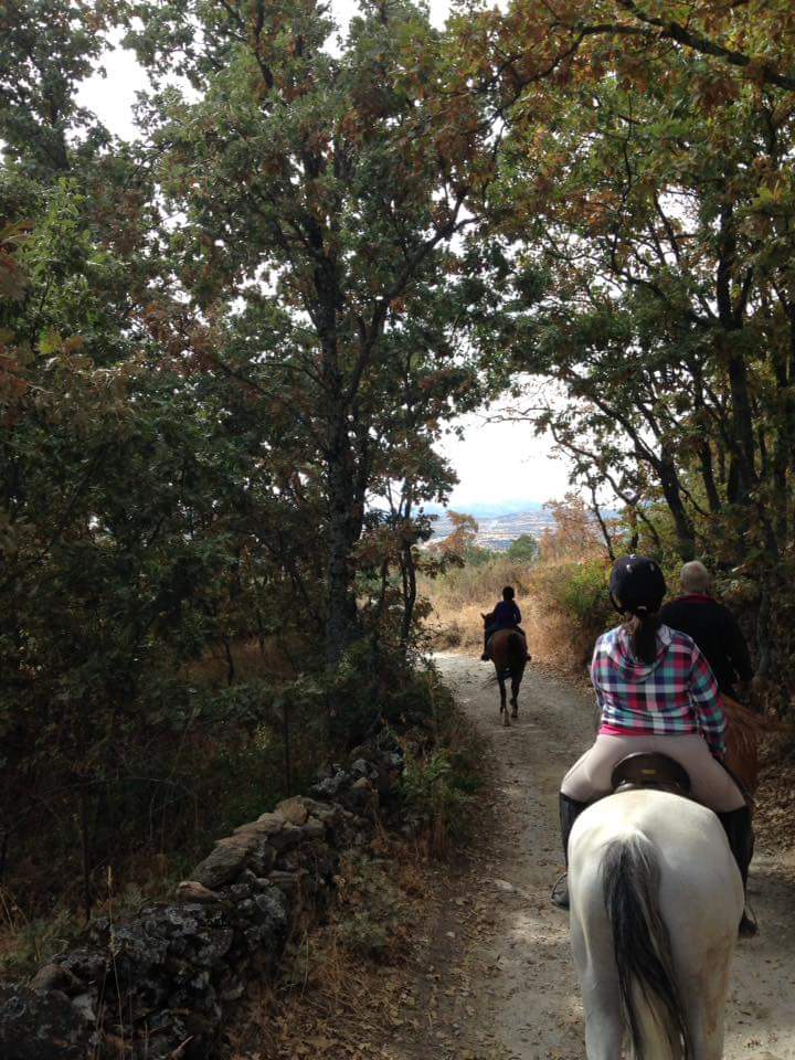 sierranortemad's tweet photo. ¿Quién te gustaría que te acompañara en esta aventura? foto de @Centro_Hipico puedes conocerles en Buitrago de Lozoya. https://t.co/vxbhtqmpdw