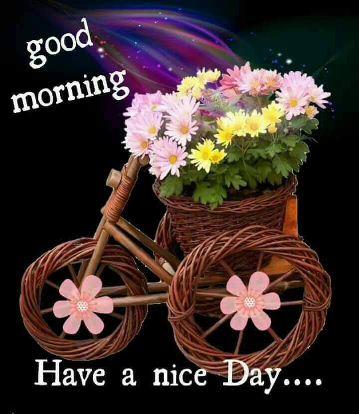 SDarmanta's tweet photo. @PatrickDNair @nikoorokh @LauraAn95487384 @syedbju @choco_haggen @tanais34 @Gabbar_of_God @xmsangelicax 
All friend: https://t.co/9UauSmmlBy