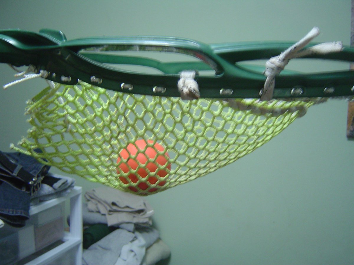 Bucky T. tweet media