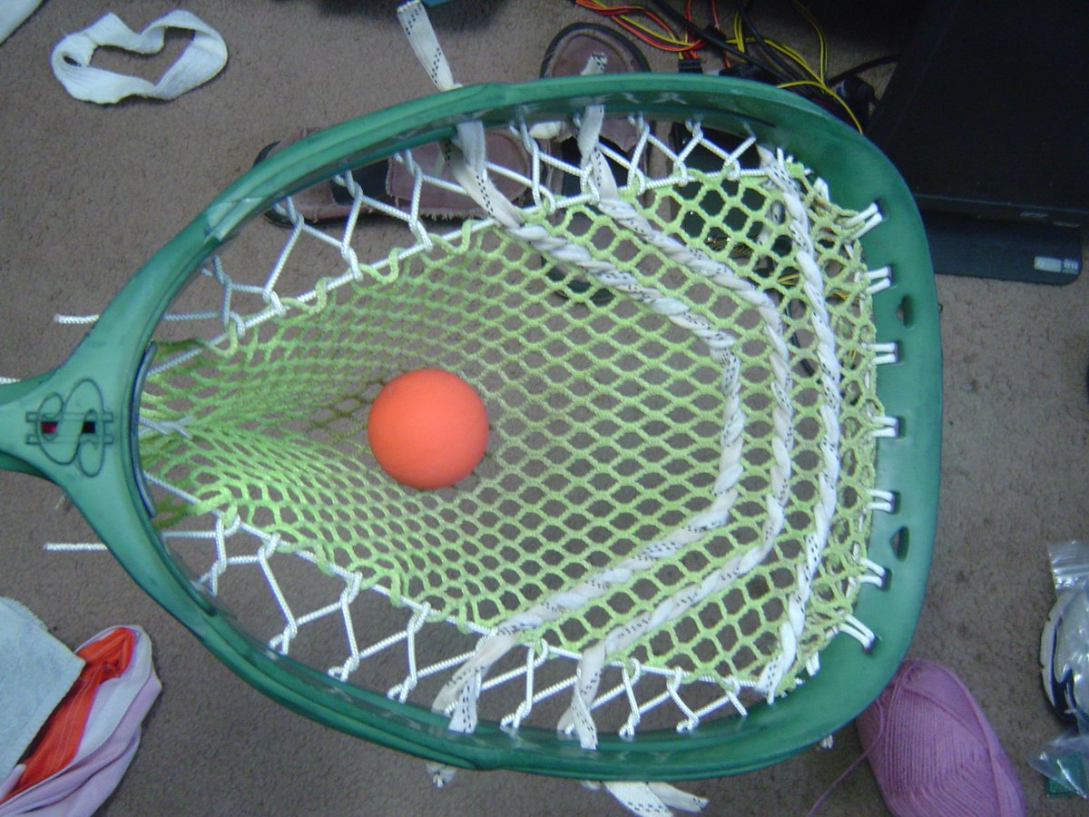 Bucky T. tweet media