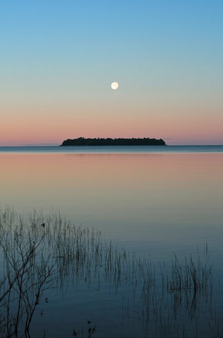 View image on Twitter View image on Twitter