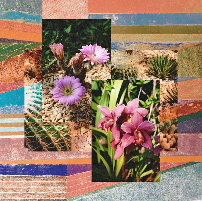 View image on Twitter View image on Twitter