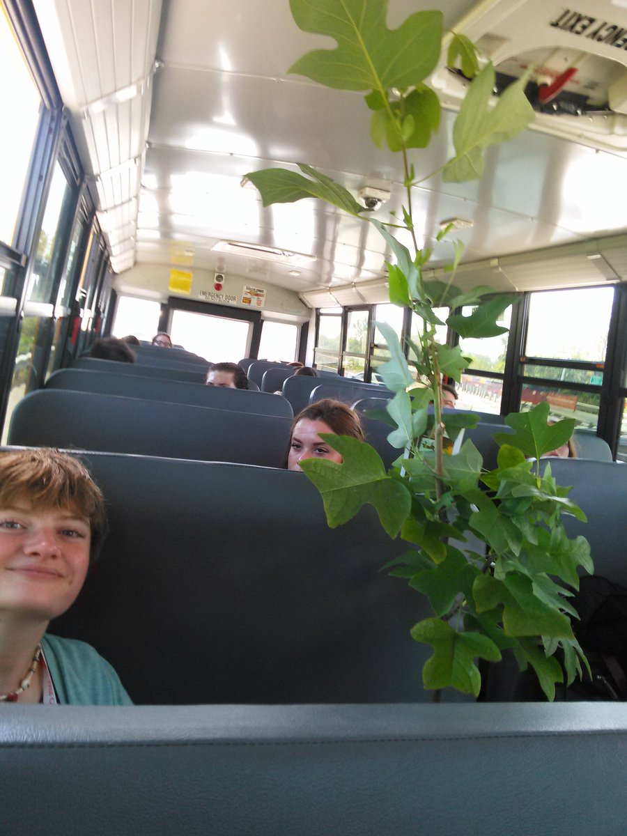 MrsEma_EDU's tweet photo. On our way home! With a tree! Hopefully, it'll serve as a reminder to the kids. #FHSHornets #fhscp #swag https://t.co/K3XdL3isRf