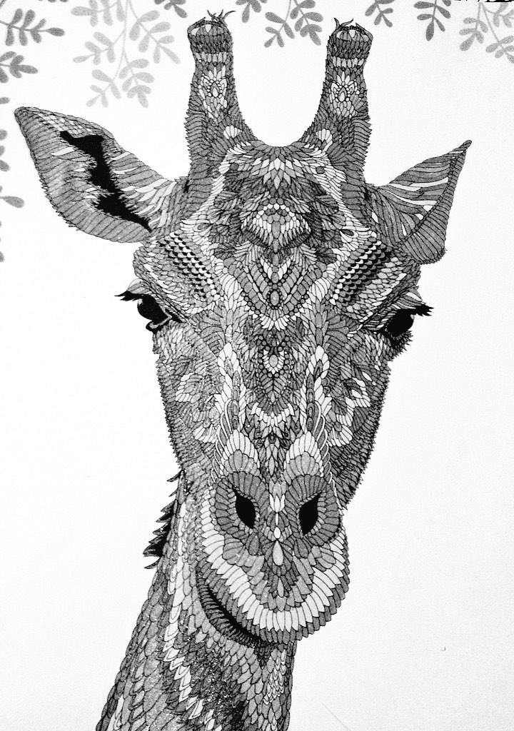 colouring_c's tweet photo. #colouring From #themenageriecolouringbook #giraffe #wildlife #tattoos #colouringpages #portraits #animals #gelpens #colouringpages https://t.co/dEVf9qaXfB