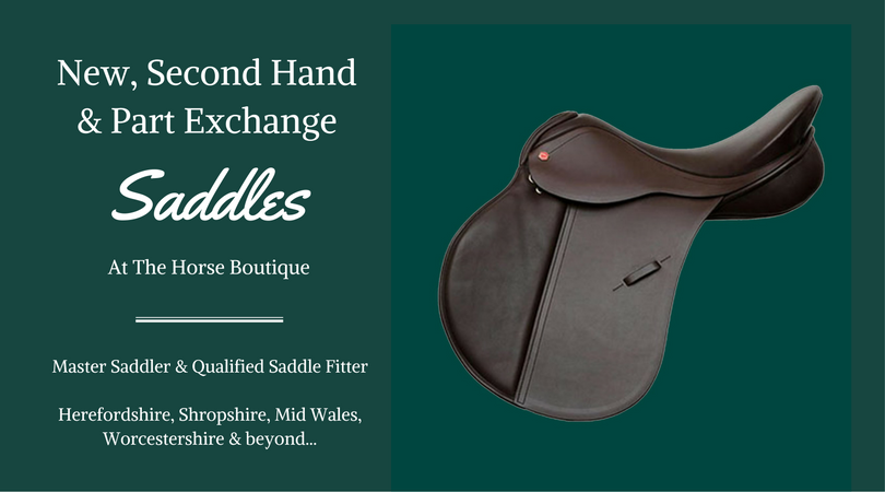 horse_boutique's tweet photo. #MasterSaddler &amp; Qual. #SaddleFitter #Herefordshire #Shropshire #MidWales #Worcestershire https://t.co/2QLaFj7lYN https://t.co/D5KigCjiPA