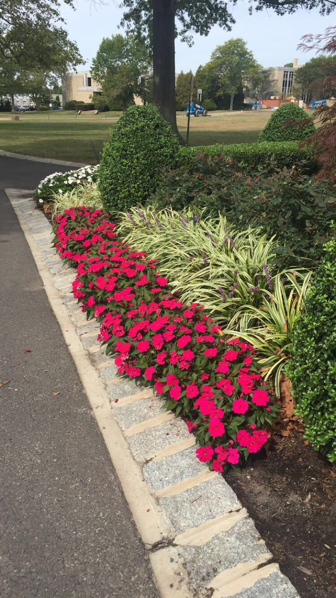 briellefmu's tweet photo. so much beautiful landscape around campus, I wonder if it’s a host for any organisms #MUFYSEco possible project https://t.co/tgjYR34FjU