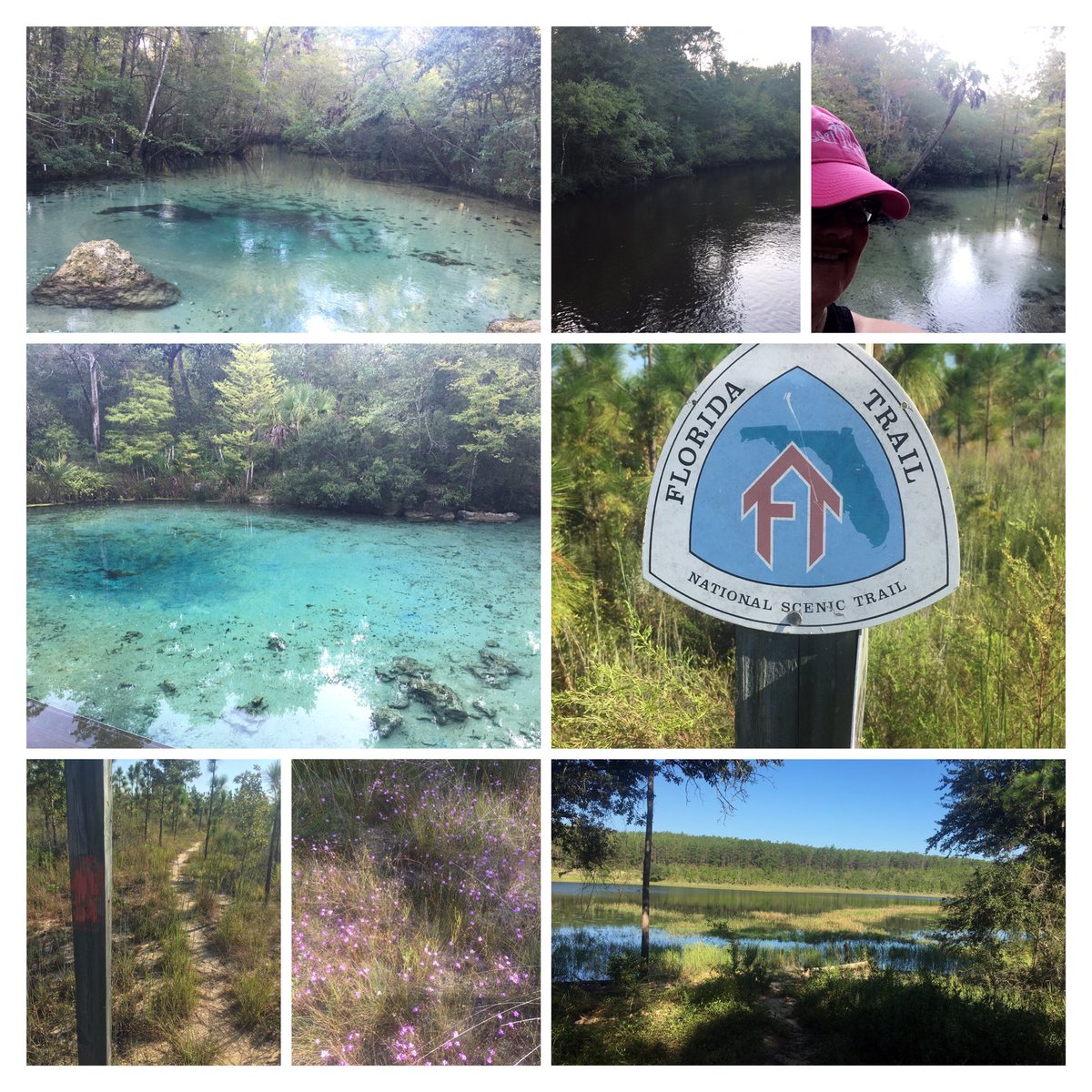 bosslady1778's tweet photo. 2 Trails-3 Springs-1 Goal = #SummitTraining 🏞🏔#PorterSpringsTrail #FloridaTrail #liveoutside https://t.co/9cJv5HoxA5