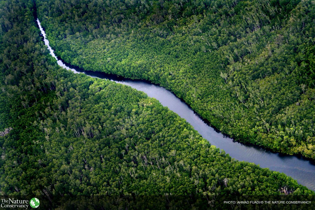 JustinCMAdams's tweet photo. Nature is the sleeping giant in solving climate change. https://t.co/GQKIuZYxO9 #CWNYC https://t.co/7jxD8MlCxC