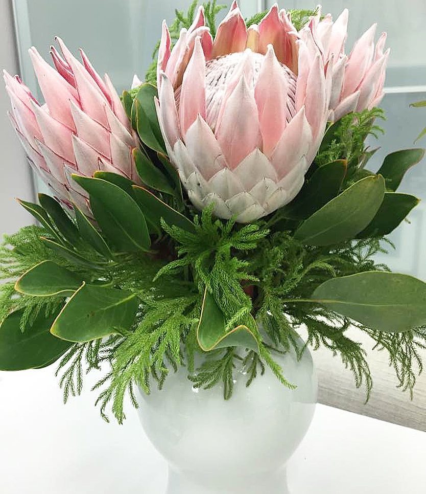 Krista_Home's tweet photo. Floral for tomorrow's photo shoot🌸🌿#designpalmbeach #interiordesigner https://t.co/BqC12rGlI8 https://t.co/re2R7AVwsM