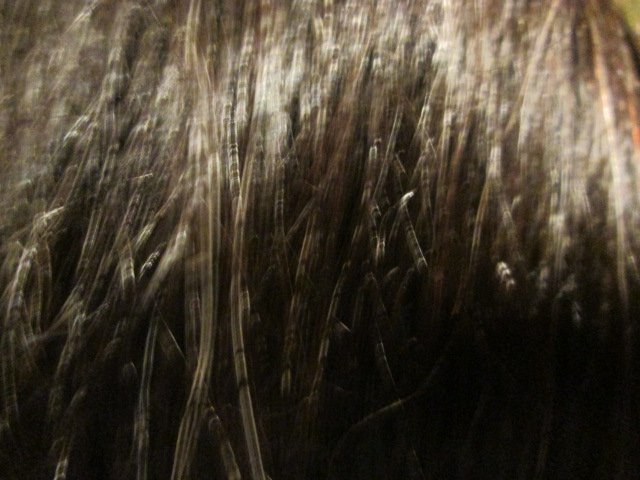 brendamarie74's tweet image. #esvoxbox@InfluensterVox @NYMBrands I can&apos;t believe how nice it made my hair look and feel