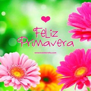 alepennella's tweet photo. Bienvenido..bienvenido amorrrr!!! https://t.co/pjYssZq8PL