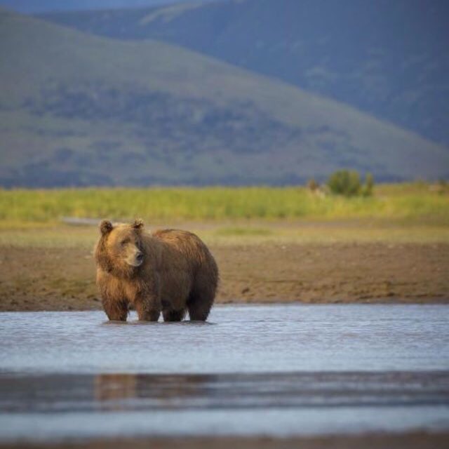 soca2k2's tweet photo. 50 Beautiful State Parks You've Never Heard Of...https://t.co/PghMvopZ58?
4 of 50 pics
#USA
#StateParks
#Beautiful
#MuchToSee
#Nature https://t.co/B8Nyd0jjZG