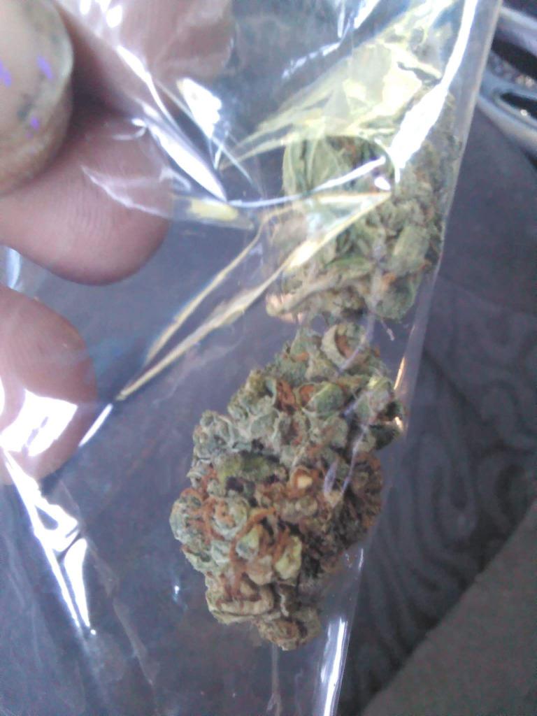 DaK9D FREE DA FAMM tweet media