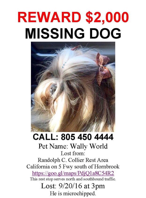 GoodDogBeds (gooddogbeds) Twitter