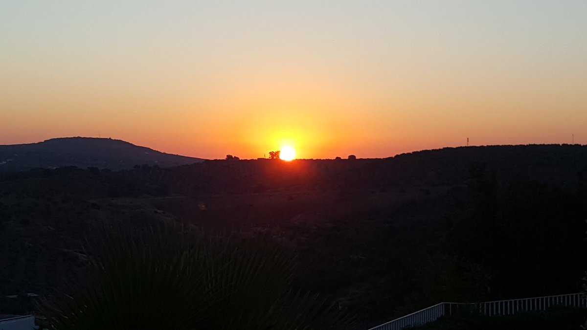 stephentarifa's tweet photo. @SaddleSkedaddle North to South Spain. Cordoba, Andalucia at it's finest! https://t.co/ZBlNGRw7WU