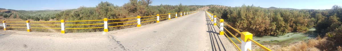 stephentarifa's tweet photo. @SaddleSkedaddle North to South Spain. Cordoba, Andalucia at it's finest! https://t.co/ZBlNGRw7WU