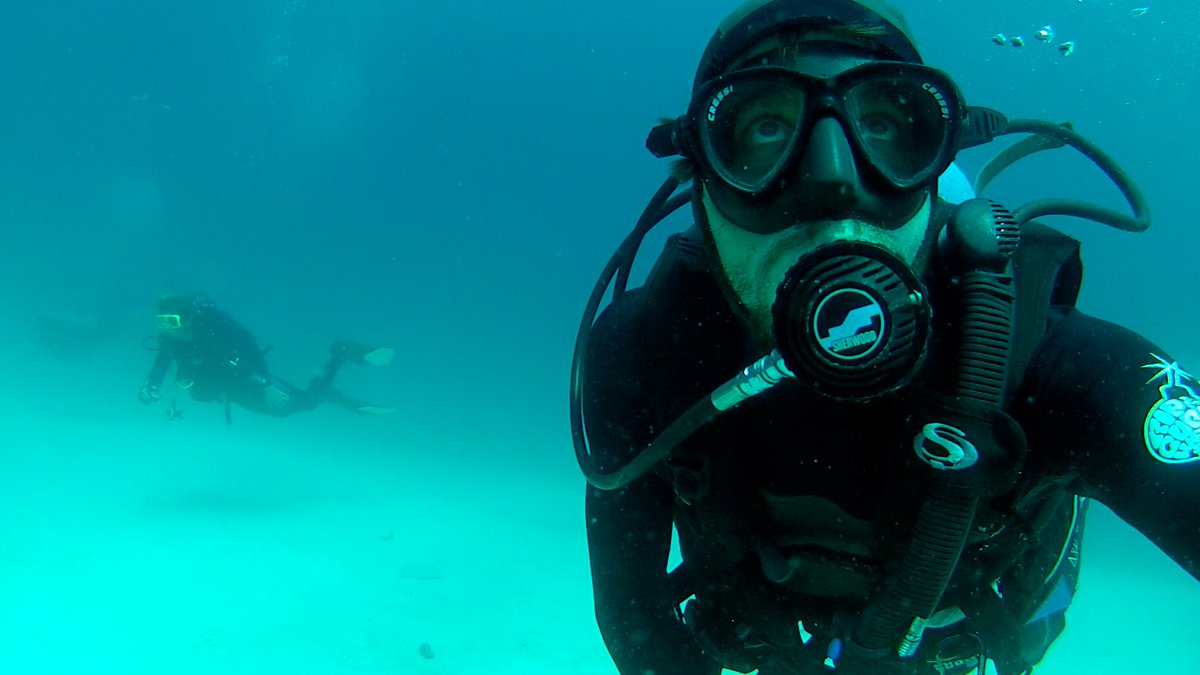 CONICETDoc's tweet photo. En instantes #ProyectoSub, te lleva a conocer la biodiversidad faunística marina de Sudamérica, 18.30hs x @_TECtv @Proyectosub https://t.co/kAvTRlf56W