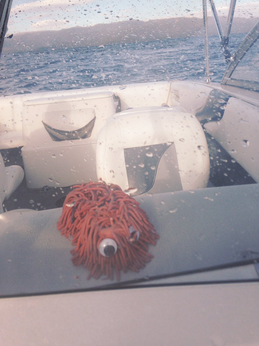 AdventuresofMop's tweet photo. My boating adventure, boy did I have fun! #MopLife #MopKnowsBest #MopGoesToLakeTahoe #LakeTahoe https://t.co/wq7qZx5FF5