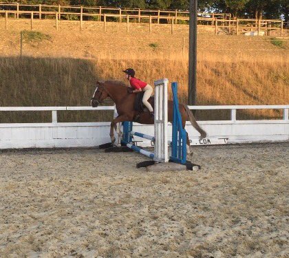 Vickie39580365's tweet photo. Two of my pony clubbers first time round a course! Very proud! @walterdressage https://t.co/GlgJZcVdIc