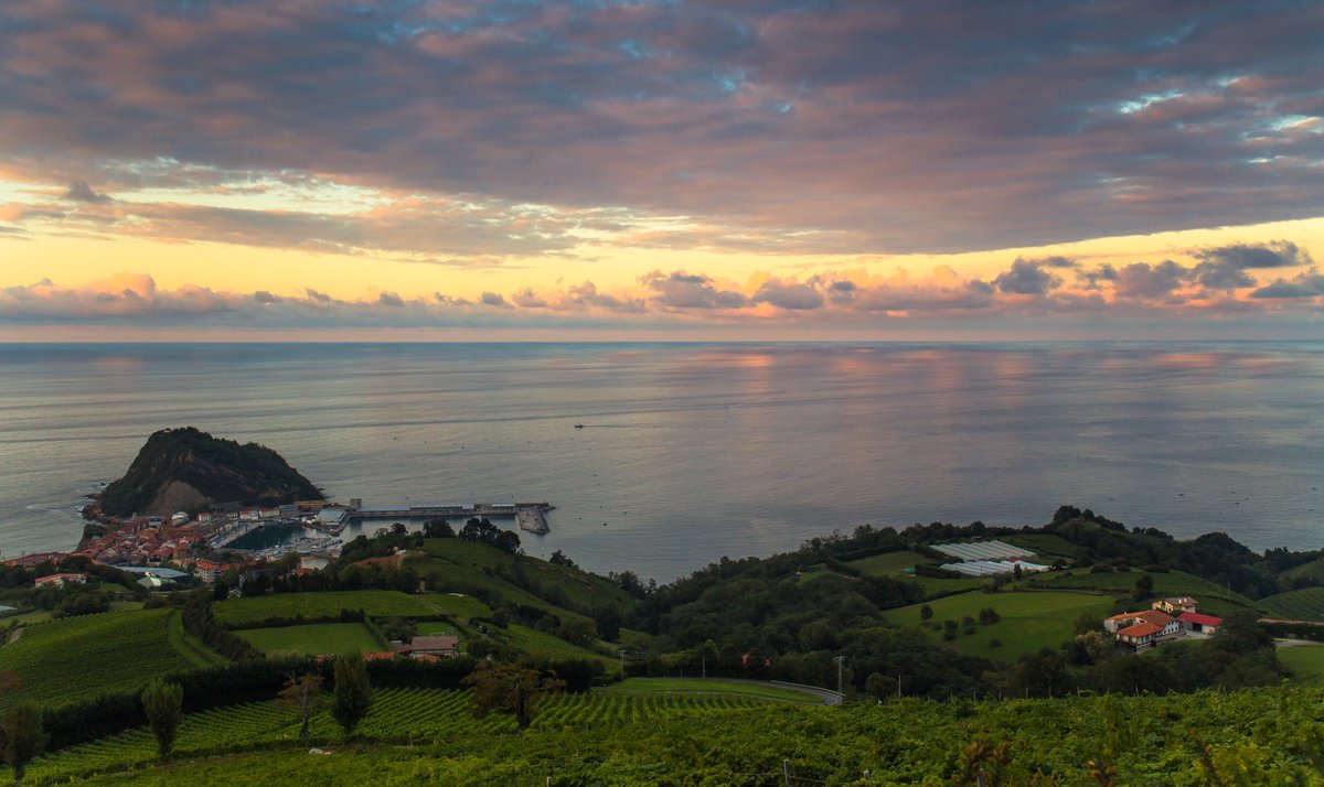 elastrostatico's tweet image. Getaria! Capital del Txacoli