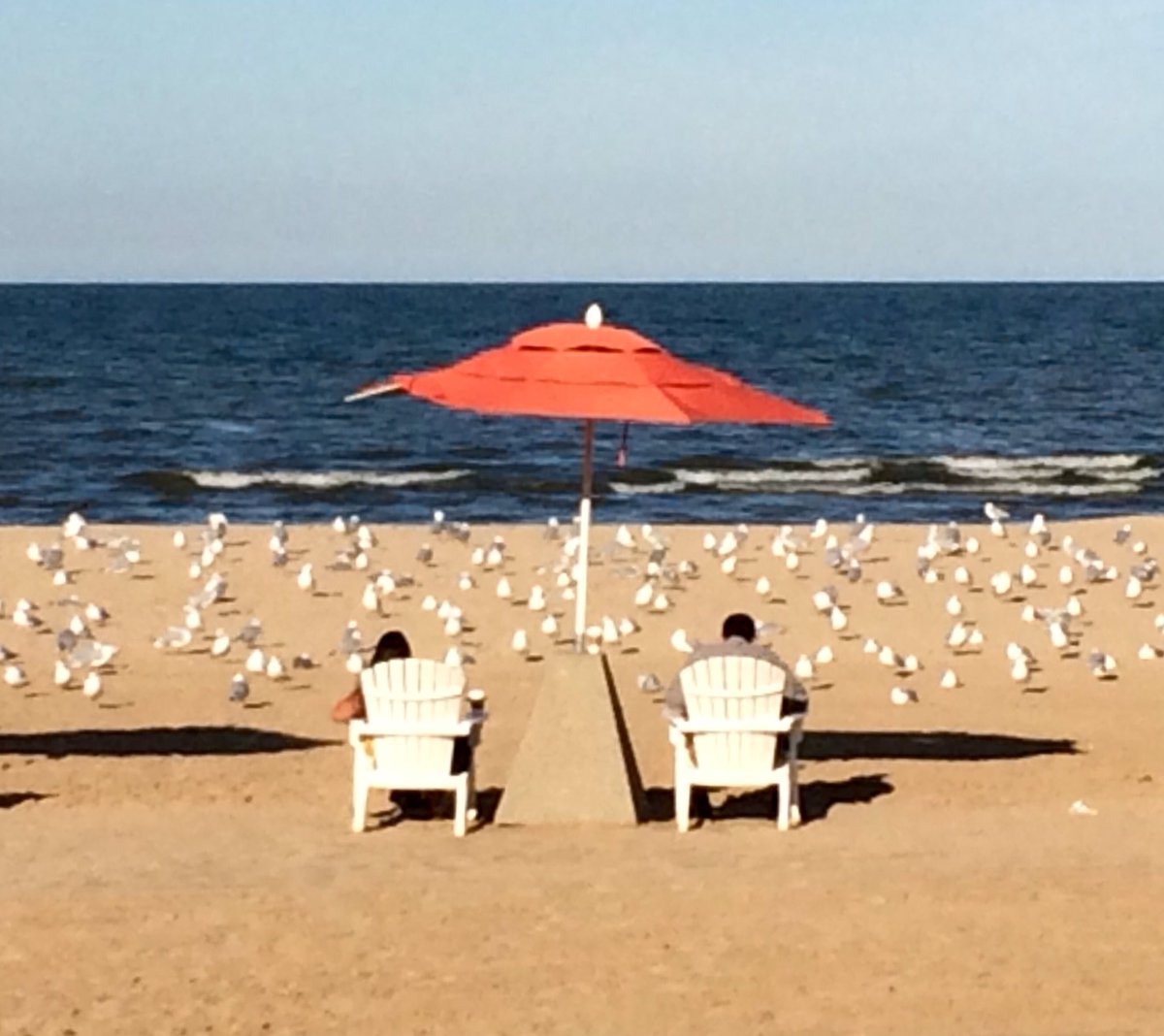 2stix's tweet photo. Yes, this is Ohio! @cedarpoint beach on the last day of summer. @ShoresIslandsOH @healthylakes #HOW2016 #LakeErieLove https://t.co/PAjVHB6GZ4