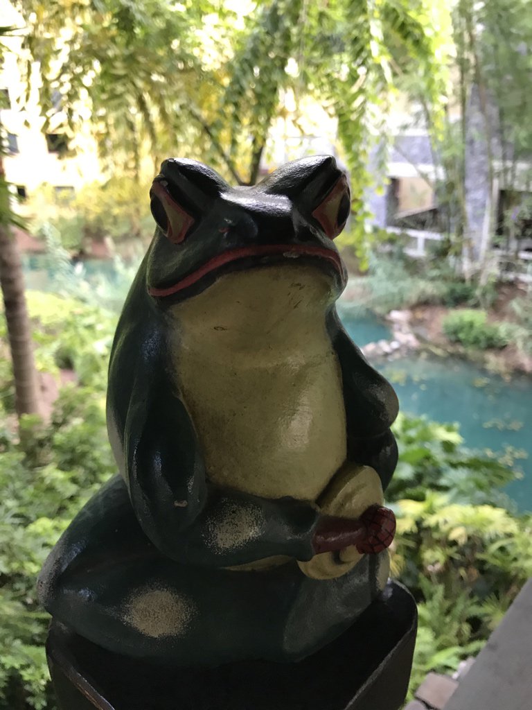 MrBrianORL's tweet photo. Where am I tonight? https://t.co/ktzyTKFqPY