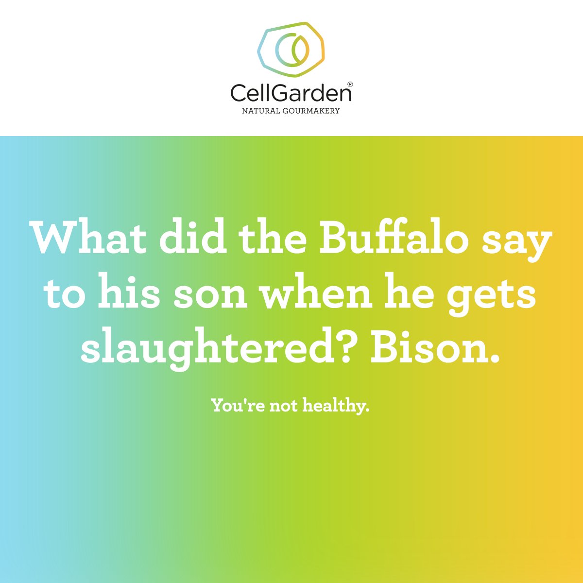 Cell Garden tweet media