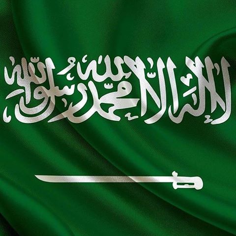 bint1414's tweet photo. " برداً وسلاماً علـى بلادنآ ،، وناراً تلضّى علـى ٲعدائنآ...
#وطني دُمت شامخاً ، عزيزاً ، كريماً ، قوياً كَ حُكامِك ... 💚 "
#اليوم_الوطني https://t.co/G0dYubcnQ2