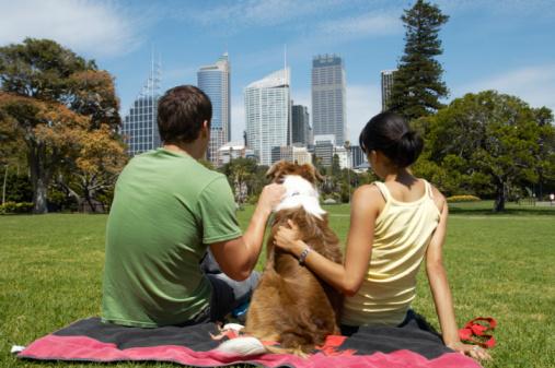 Cesar Millan tweet media