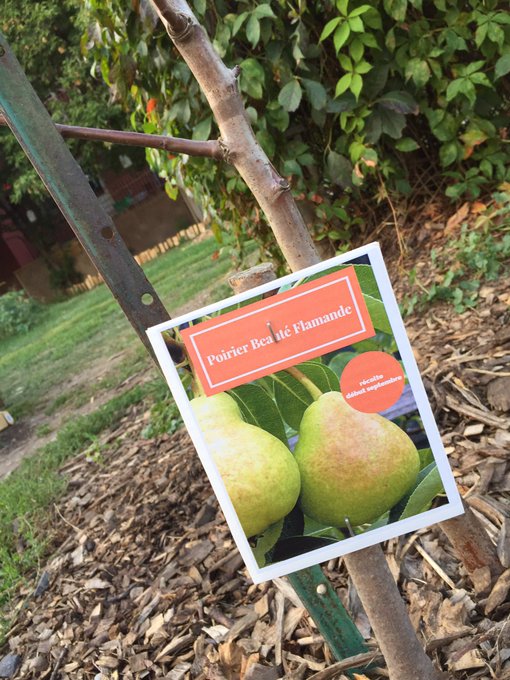 View image on Twitter