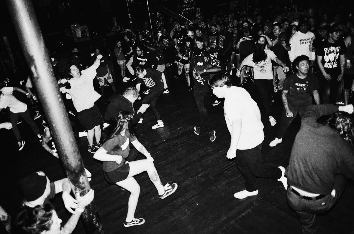 🧶🐜 tweet media