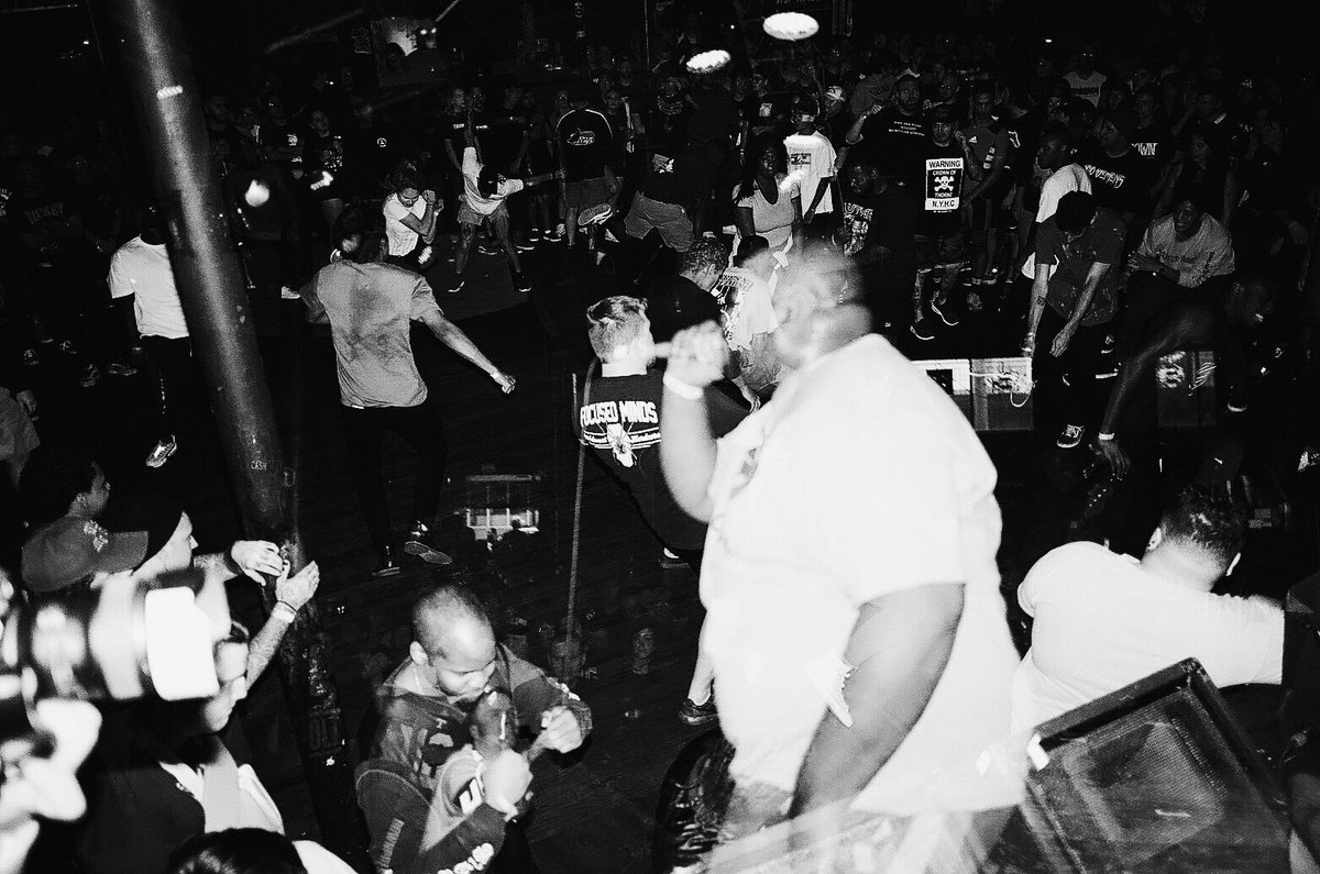 🧶🐜 tweet media