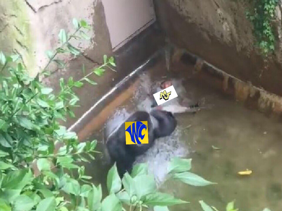 Kevin_Mathboy's tweet photo. I mean cmon now guys 😈 #mjhateweek https://t.co/o6jwQlu7BI
