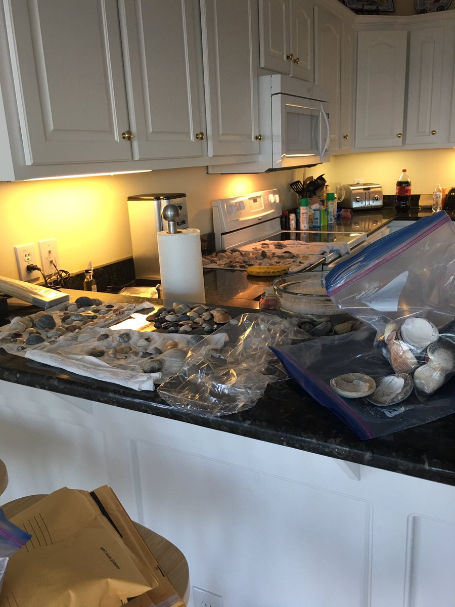 SRottenberg's tweet image. @janicero Small portion of #ShellHaul!