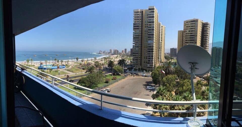 Michelle Medrano tweet media