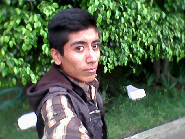 coroydaniel's tweet image. los amo a mis fanes