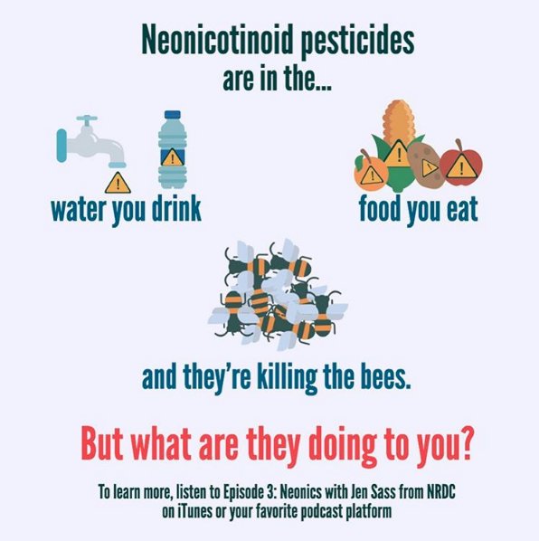 sustaindefined's tweet photo. Concerned about your #health and the health of our #bees? Tune into Episode 3: Neonics with Jen Sass from @NRDC #saveourbees #beeserious https://t.co/ZGKU48ENPK