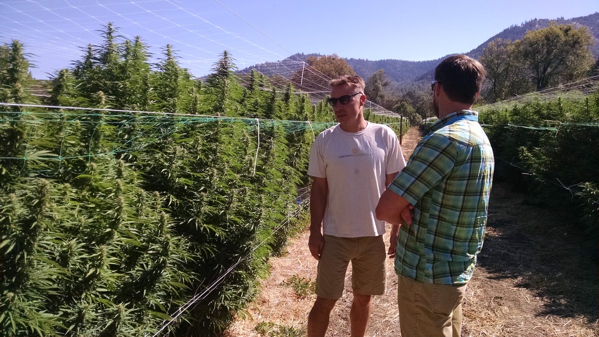 420friendlylaw's tweet photo. Touring client's farms, almost harvest time. Thanks @SiskiyouSungrown #ThisisOregon #legal #cannabis @GreenLeafLab https://t.co/R9VpgswIil