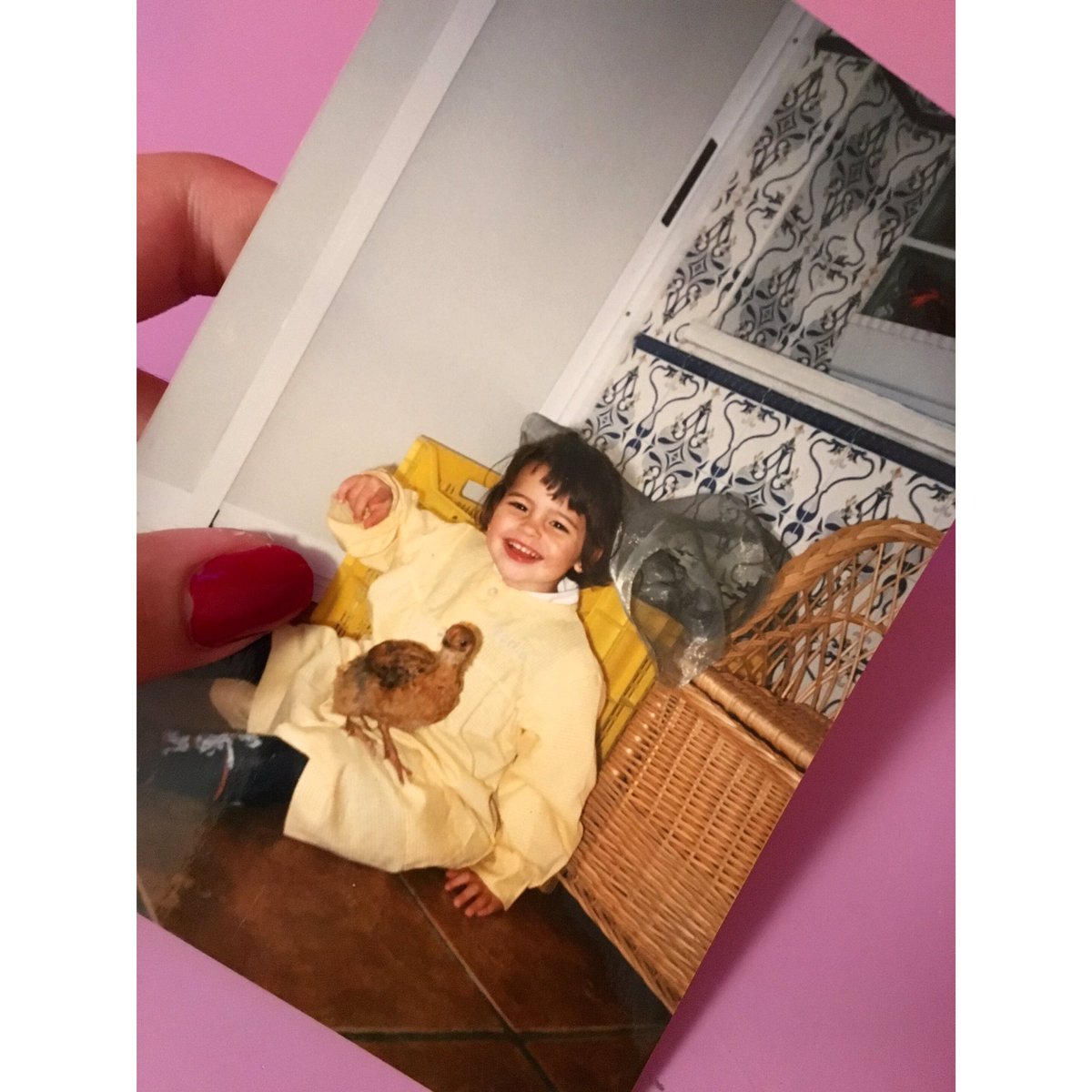 Rocio14MN's tweet photo. Sumamos uno más!!! 🔞🔞🔞🔞🔞 https://t.co/9vUAjGmlxe