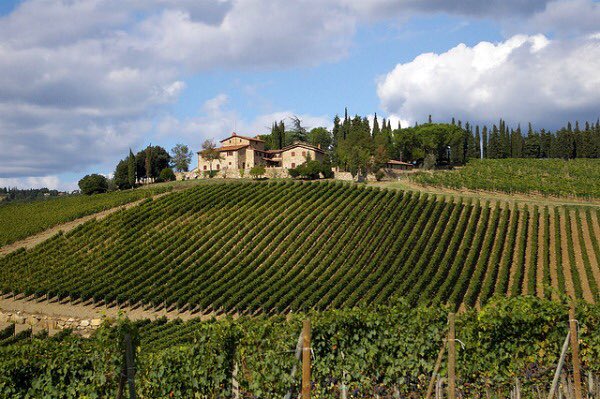 TorontoVino's tweet image. #GrandiMarchi Walk-Around tasting at the #ROM in #Toronto 16 of the most celebrated families in Italy🇮🇹 vintagesshoponline.com/vintages/publi… 🍷 #LCBO