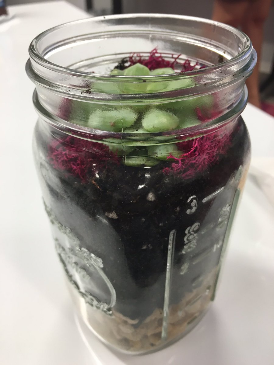 sheisTanisha's tweet photo. I made this all by myself at the @socialtables event! #dceventprofs https://t.co/pMCT3hq7un
