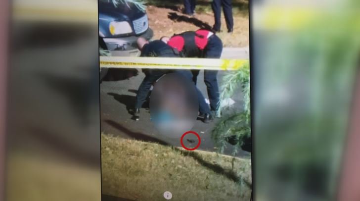 View image on Twitter