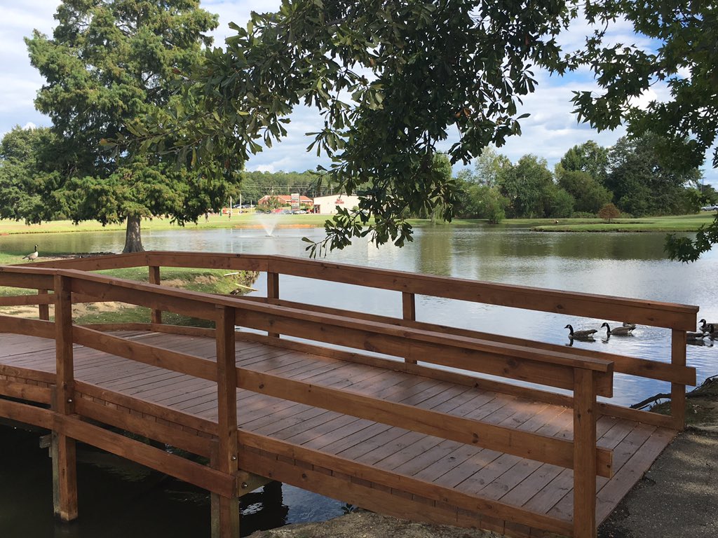 ITSVinceDoyle's tweet image. I love being welcomed to @FPHospital by the geese! #AwesomeScenery