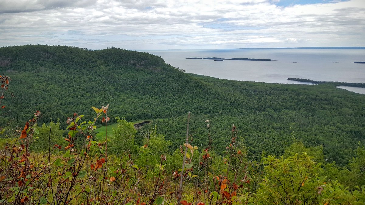 OntarioParks's tweet photo. The boreal forest is one of the largest ecosystems in the world! https://t.co/E3fhWCJQtV #NTD2016 #NationalForestsWeek #treeday https://t.co/08MXWbOmp5