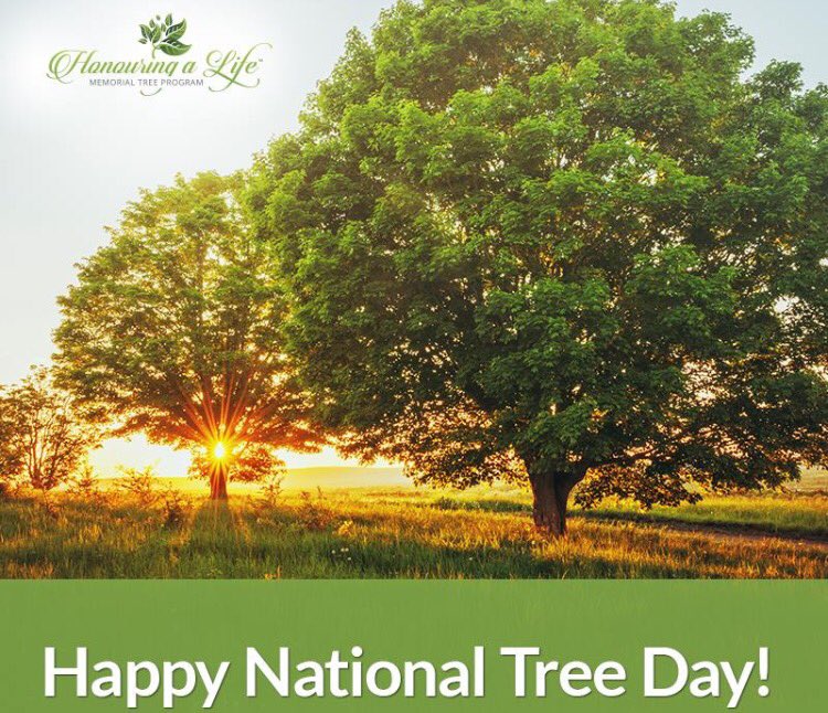 FrontRunnerPro's tweet photo. Happy #NationalTreeDay! Check out how you can plant a memorial tree: https://t.co/4yvvI28PWW π± π³ #NTD2016 https://t.co/D21IuppbVM