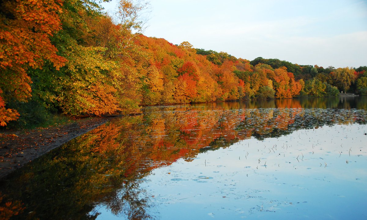MakeItMSP's tweet photo. Tomorrow = #FirstDayofFall! Bring on the harvest beers, pumpkin spice cake and flannel #Fall #MakeItFall #MakeItMSP https://t.co/KunkcI5ZWm